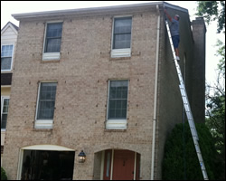 Bat exclusion in Reston VA